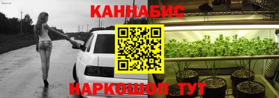прущие грибы Кимры