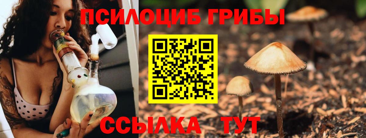 Псилоцибиновые грибы мухоморы Кувандык
