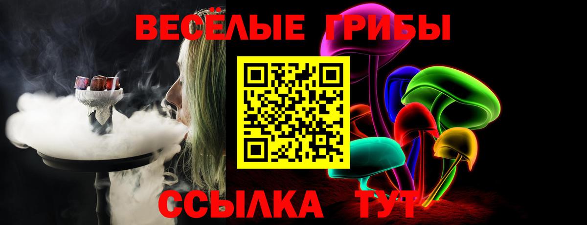 Псилоцибиновые грибы ЛСД  Вход с VPN  Кувандык 